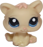 #1779 Kitten